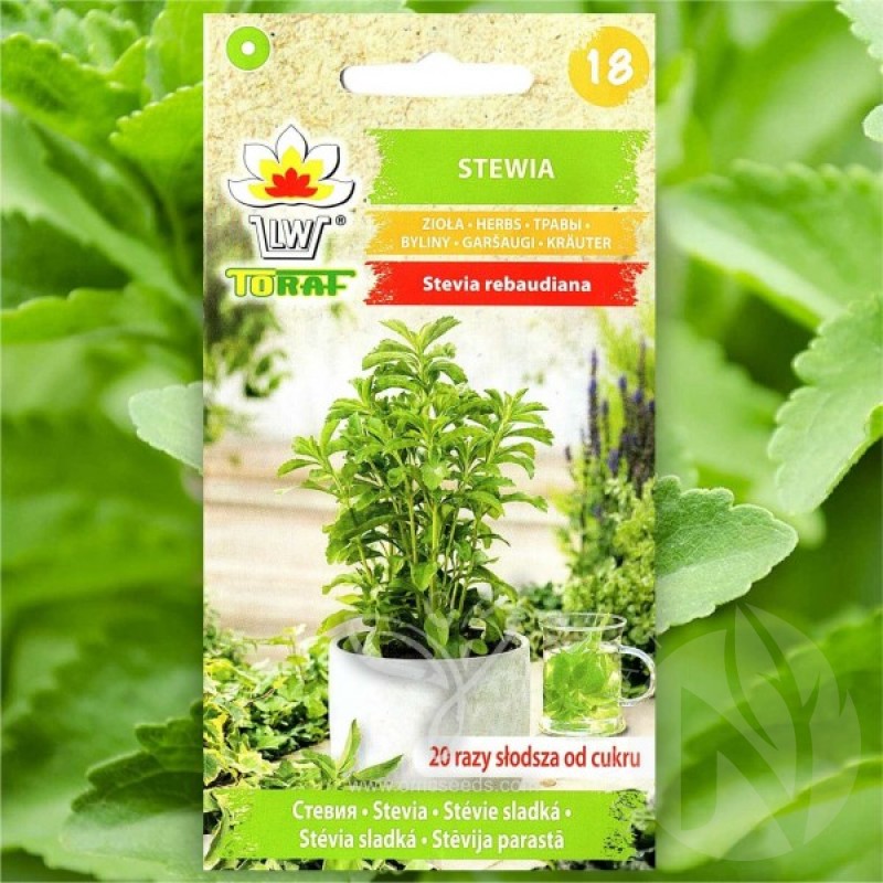 Sweetleaf (Stevia Rebaudiana for pots) 20 seeds (#1826)