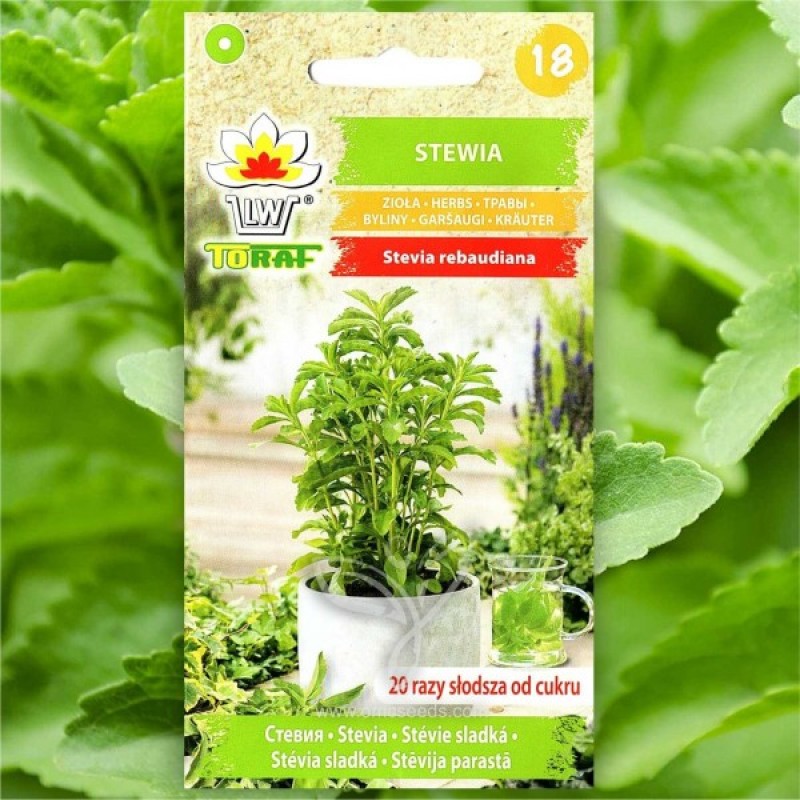 30pcs lot Stevia Rebaudiana sweetleaf Semillas diabética natural de azúcar Semillas Sustituto de la hierba Bonsai de plantas del jardín de DIY 