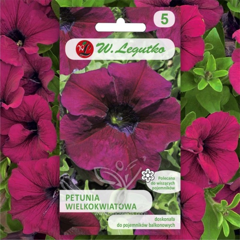 Trailing Petunia (Petunia hybrida Grandiflora cherry) 25 seeds (#2123)