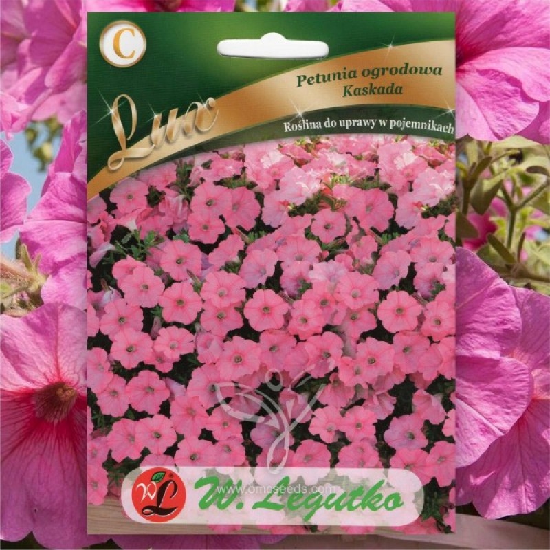 Petunija svyrančioji (Petunia hybrida pendula Rose Cascade) sėklos - 50 vnt (#2129)