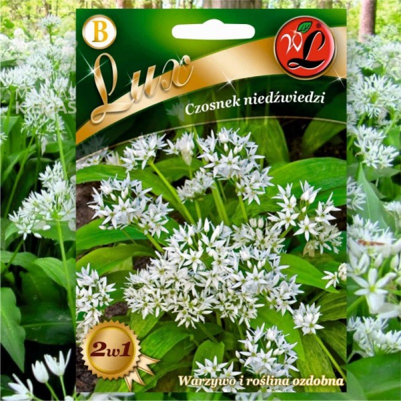 Wild Garlic (Allium Ursinum) 25 seeds (#1117)
