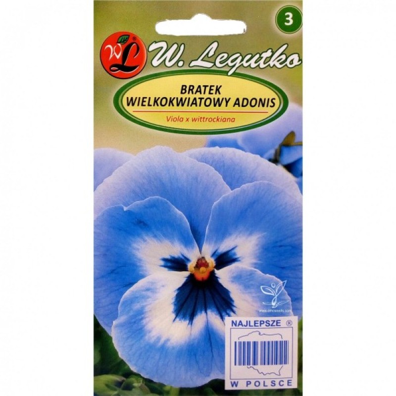 Pansy (Viola Wittrockiana Adonis) 200 seeds (#1419)