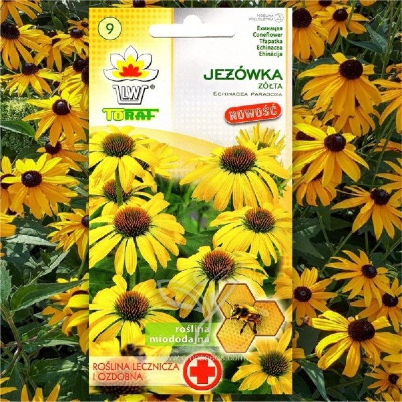Ežiuolė geltonoji (Echinacea Paradoxa) sėklos - 40 vnt (#2203)