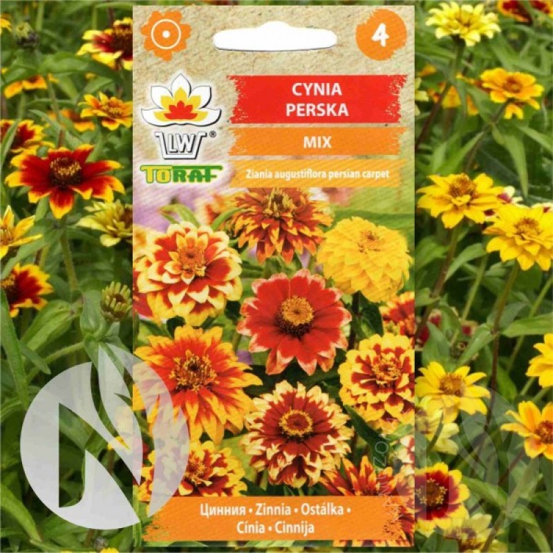 Zinnia PERSIAN CARPET (Zinnia angustifolia) 120 seeds (#2070)