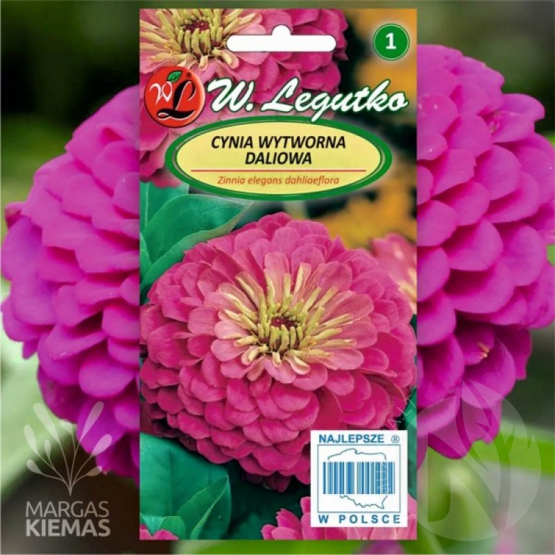 Gvaizdūnė puikioji (Zinnia Elegans dahliaeflora Rožinė) sėklos - 150 vnt. (#2281)
