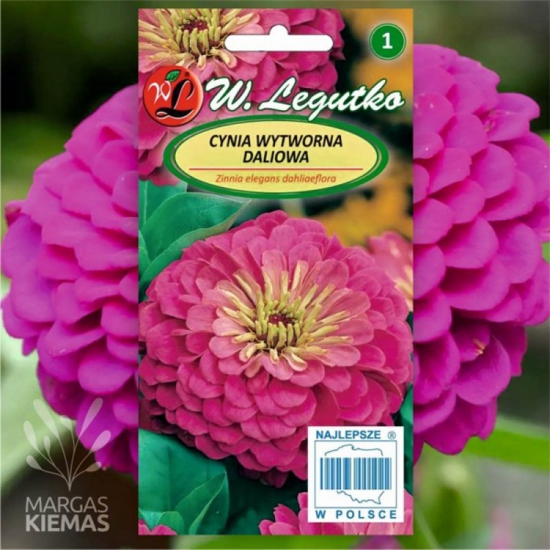 Gvaizdūnė puikioji (Zinnia Elegans dahliaeflora Rožinė) sėklos - 150 vnt. (#2281)