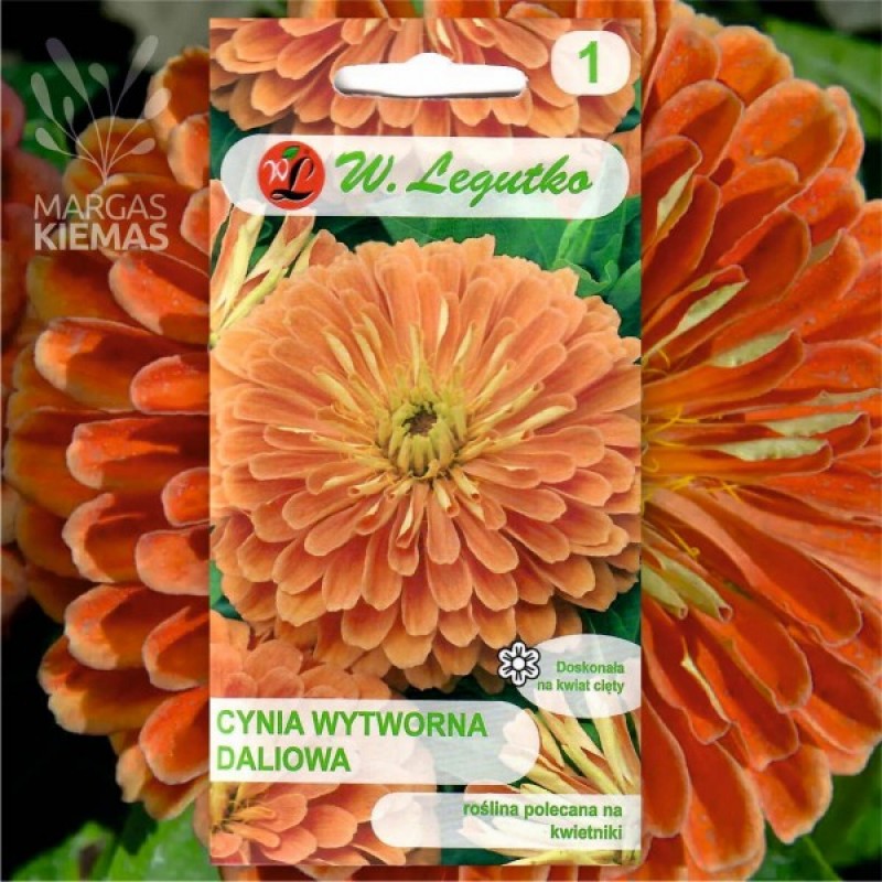 Gvaizdūnė Puikioji (Zinnia Elegans Dahliaeflora Eldorado) sėklos - 60 vnt. (#2389)