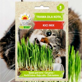 Žolė katėms KICI MIX (Cat Grass mišinys) sėklos - 30 g. (#2395)