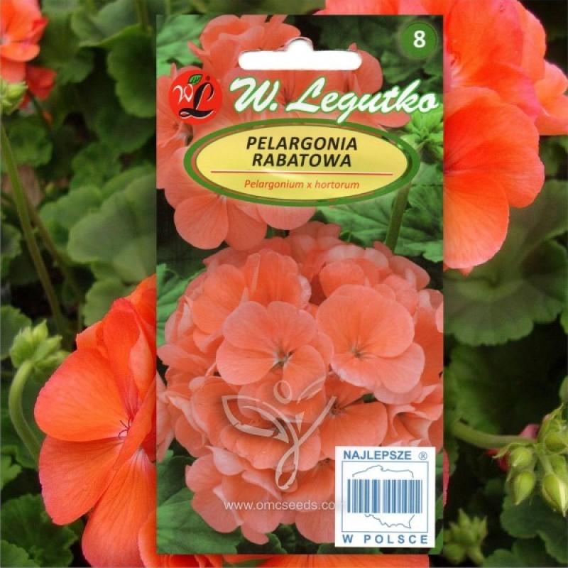Pelargonija Darželinė (Pelargonium x Hortorum Rožinė-oranžinė) sėklos - 10 vnt (#1806)